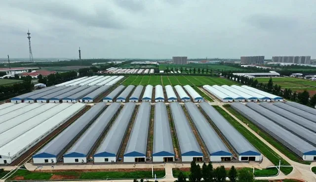 数据处理软件使用中常见问题及应对策略